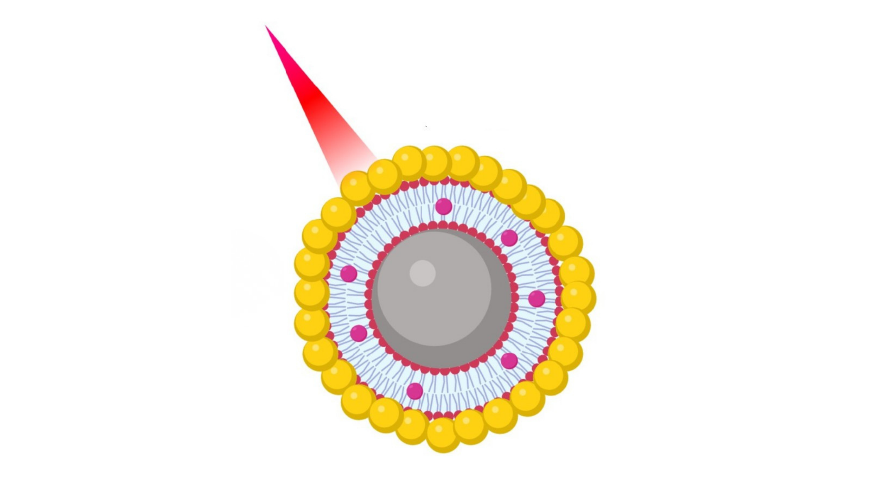 Gold-coated drug nanocapsules show potential for targeted cancer therapy
