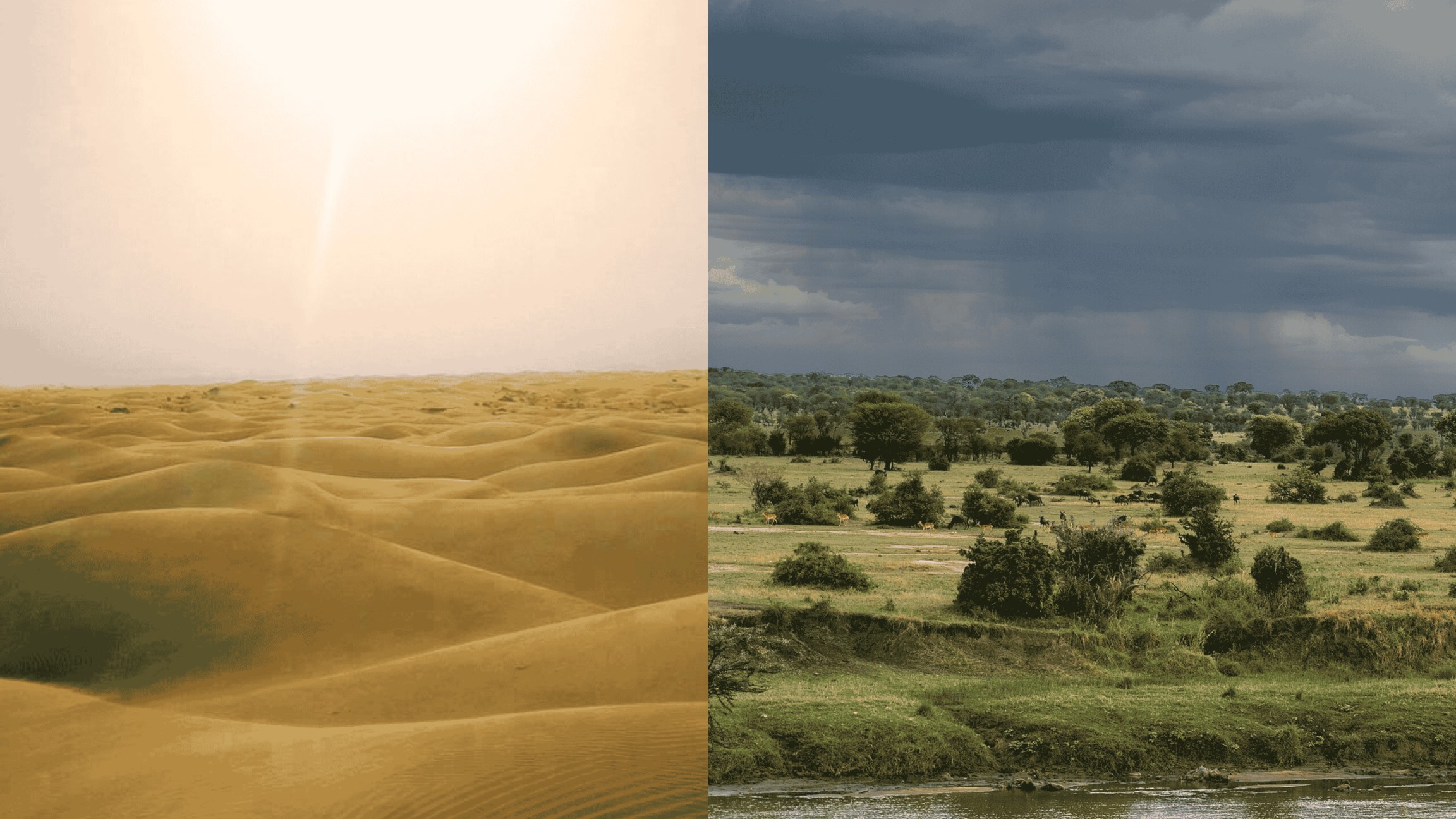 Monsoon over the Sahara