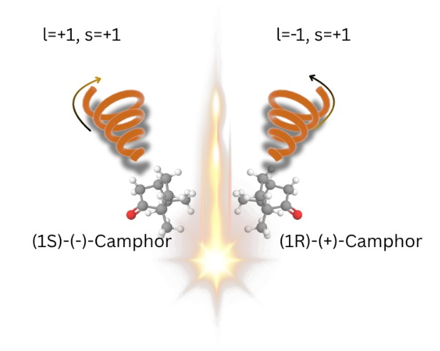 Twisted light tells apart molecular twins